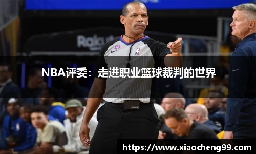 NBA评委：走进职业篮球裁判的世界